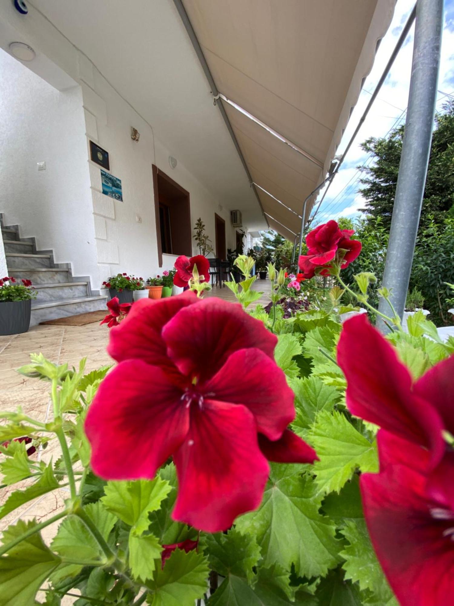 Vila Renato Ksamil Exterior foto